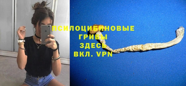 а пвп мука Богданович