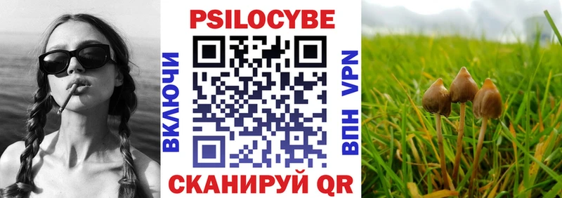 Псилоцибиновые грибы GOLDEN TEACHER  Ветлуга 